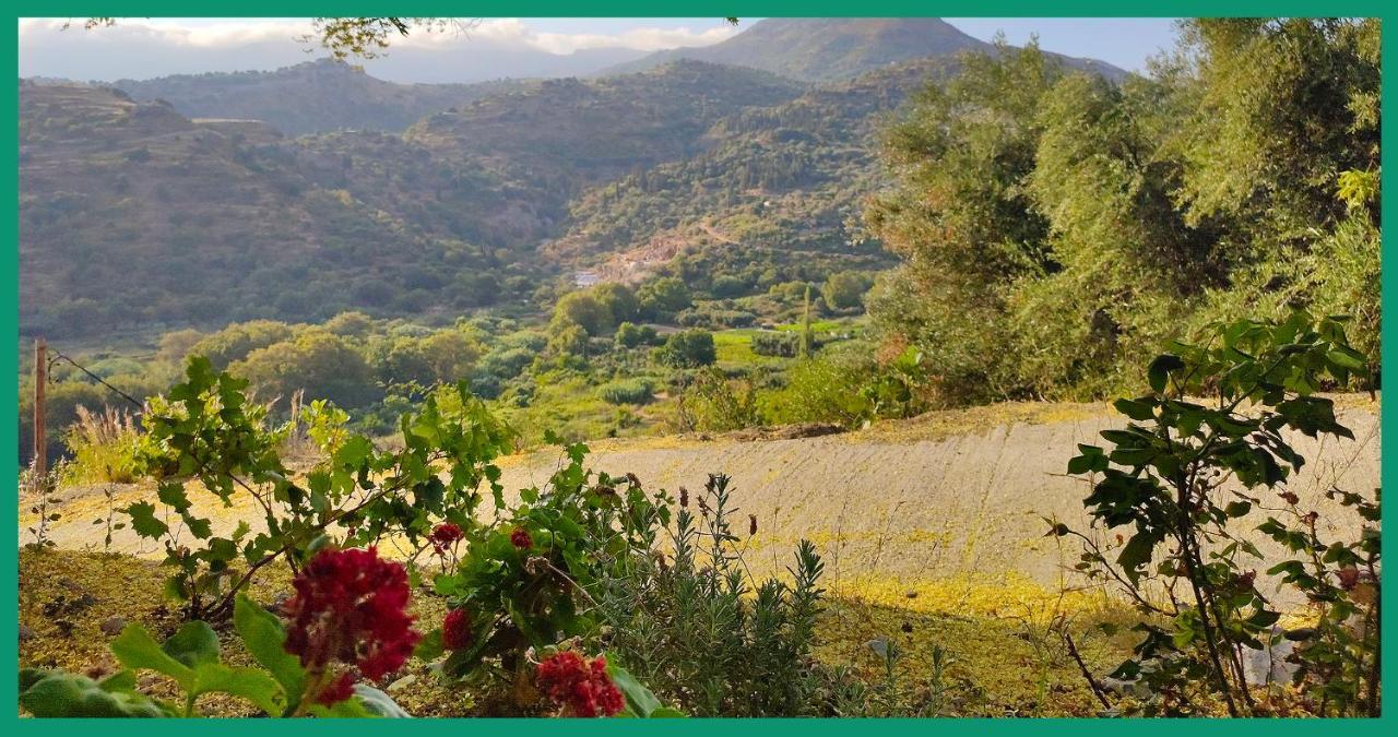 Apartamento Kampos View Ikaria Evdilos  Exterior foto