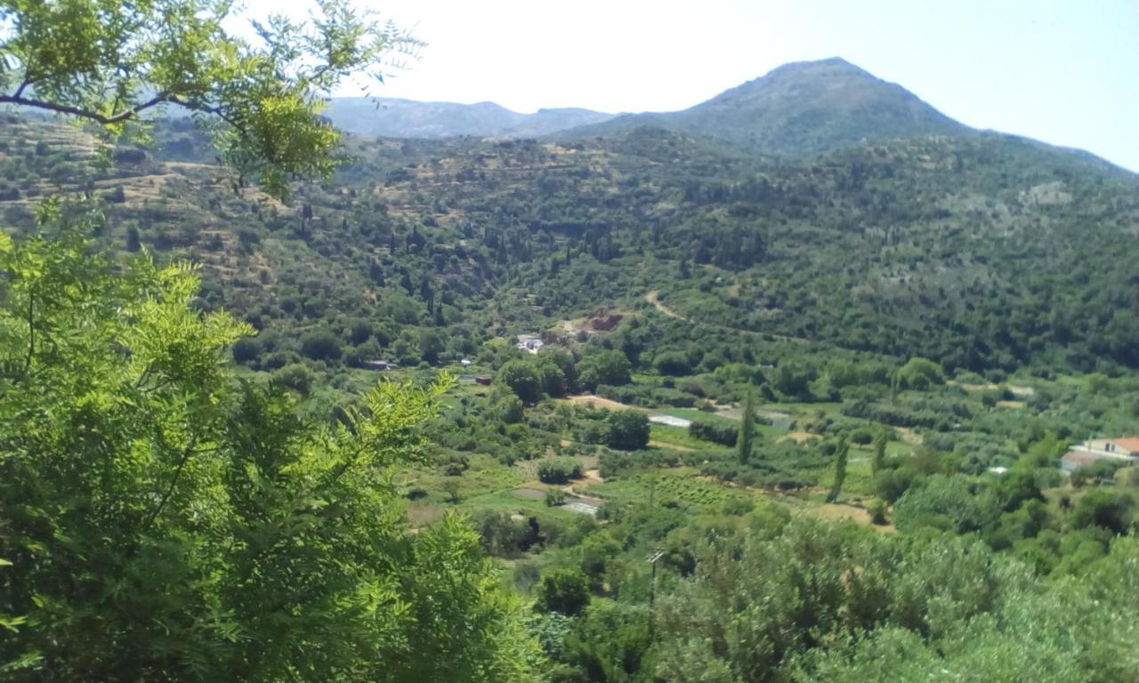 Apartamento Kampos View Ikaria Evdilos  Exterior foto